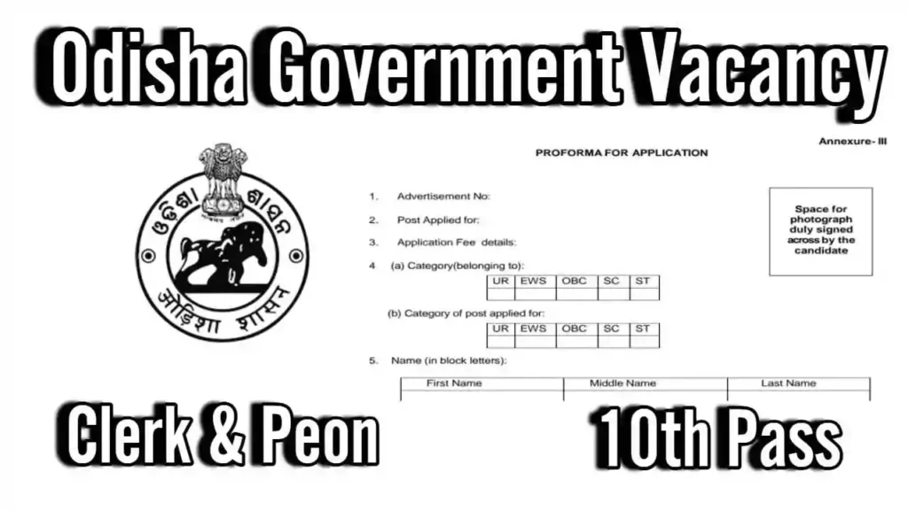 Clerk & Peon Recruitment 2024